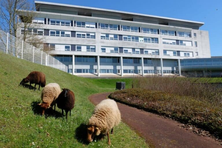 ecopaturage solognote