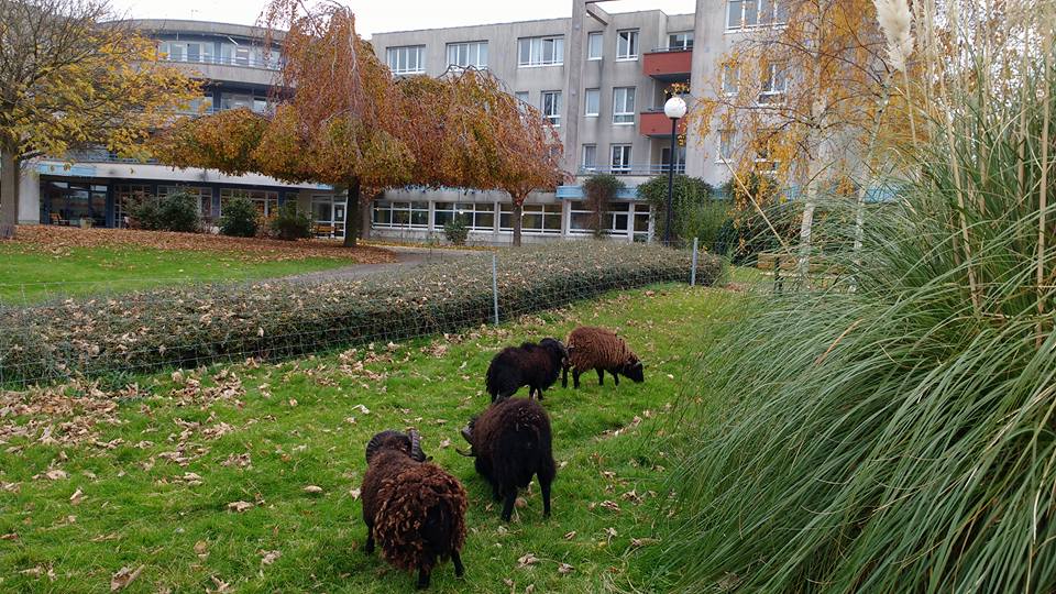 loi labbé collectivités
