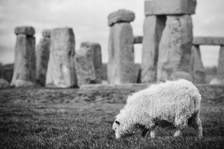 desherbage cimetière