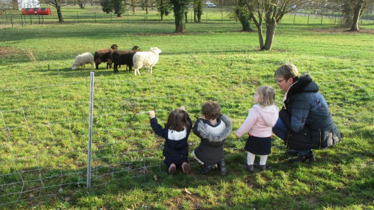 bienfaits médiation animale