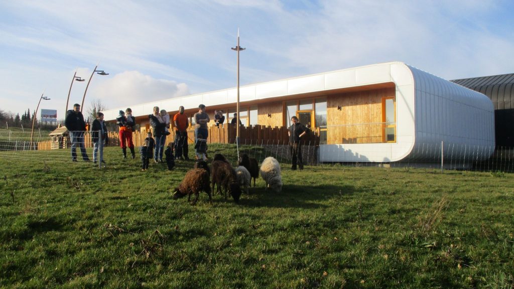 médiation animale école