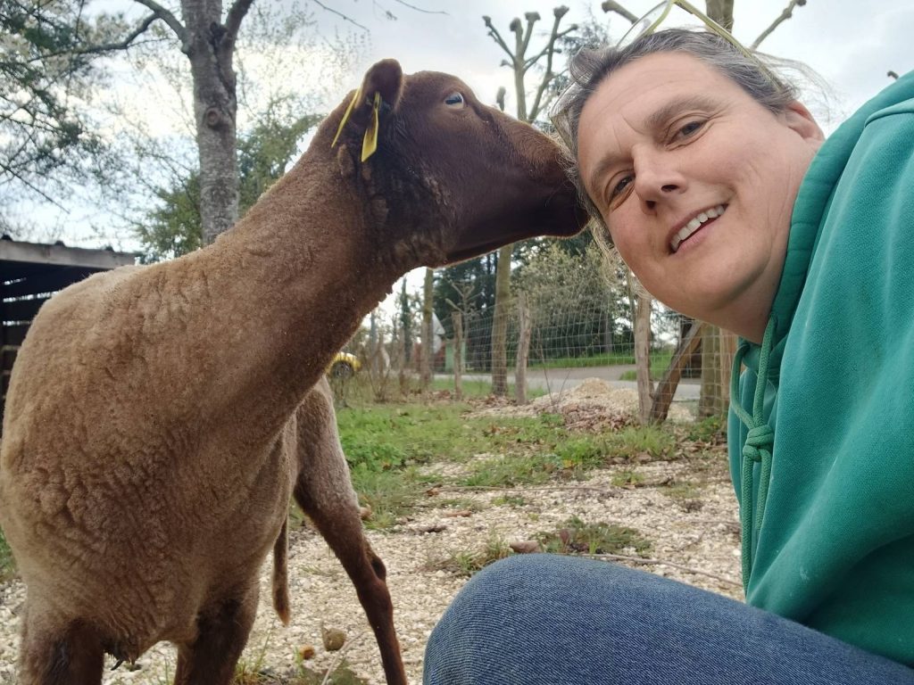 Julie bergère Greensheep